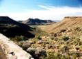 Semi-desert vegetation in Karoo National Park in the Karoo