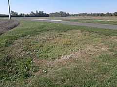 Photographie en couleurs d'un rectangle de pierres à demi dissimulées par de l'herbe rase