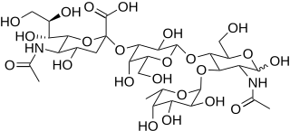 Sialyl-Lewis <sup>X</sup> Chemical compound