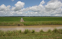 Het polderlandschap rond Wageningen