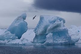 Iceberg at Franz-Josef Land Reserve, Arkhangelsk Oblast, Russia Image is also a Featured picture of ice