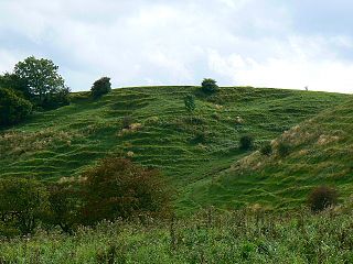 <span class="mw-page-title-main">Bincknoll Castle</span> Possible Iron Age hillfort in Wiltshire, England