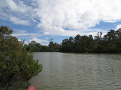 Blackburn Lake South.PNG