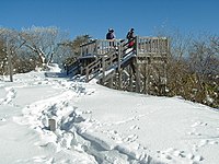 茶臼山山頂