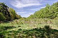 * Nomination Nationalpark of the Netherlands "De Meinweg" - Landscape --Tuxyso 19:57, 6 May 2013 (UTC) * Promotion QI for me --Manuela61 14:58, 16 May 2013 (UTC)