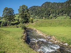 … bei Büchel, oberhalb Unterwasser