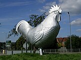 Dorking Cockerel