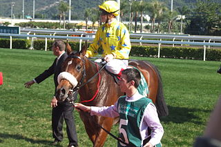 <span class="mw-page-title-main">Dunaden</span> French-bred Thoroughbred racehorse