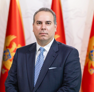 <span class="mw-page-title-main">Filip Ivanović (politician)</span> Montenegrin academic