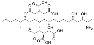 <span class="mw-page-title-main">Fumonisin B1</span> Chemical compound