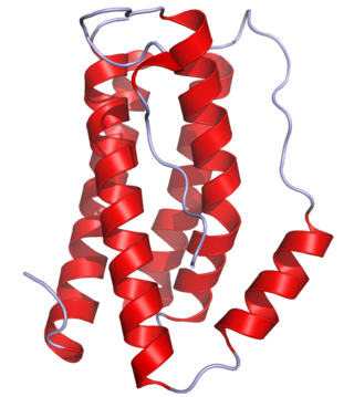 <span class="mw-page-title-main">Interleukin 6</span> Cytokine protein