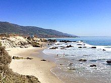 Carrillo State Park in Malibu. Leo-Carillo-Beach-man-dog.jpeg