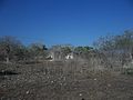 Misnebalam, Yucatán.