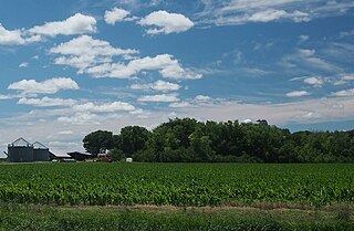 <span class="mw-page-title-main">Mountain Lake Township, Cottonwood County, Minnesota</span> Township in Minnesota, United States