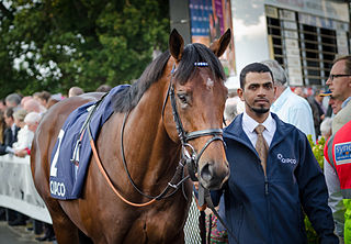 <span class="mw-page-title-main">Mukhadram</span> British-bred Thoroughbred racehorse