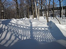 Park fence shadow is distorted by an uneven snow surface. Park grid.JPG