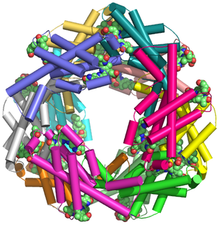 <span class="mw-page-title-main">Phycocyanin</span> Protein complexes in algae