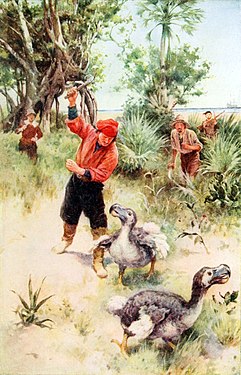 Il·lustració de mariners neerlandesos perseguint dodos, de Walter Paget, 1914. No es creu que la caça dels humans hagi estat la principal causa de l'extinció de l'ocell