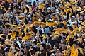 Image 11Pittsburgh Steelers' fans waving the Terrible Towel, a tradition that dates back to 1975 (from Pennsylvania)