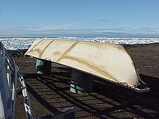 <span class="mw-page-title-main">Umiak</span> Skin-covered boat