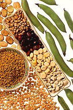 A selection of various C3 plants (legumes). Various legumes.jpg