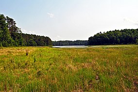 Windpuddinglake1.jpg