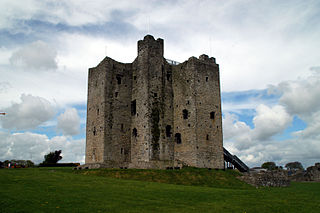 <span class="mw-page-title-main">Walter de Lacy, Lord of Meath</span> Lord of Meath in Ireland