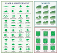 Leaf Morphology Chart