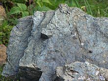 Lherzolite at Etang de Lers, Ariege, France Lherzolite Lers.jpg