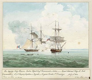 HMS <i>Racoon</i> (1795) Brig-sloop of the Royal Navy