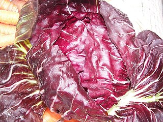 <span class="mw-page-title-main">Radicchio</span> Leaf vegetable