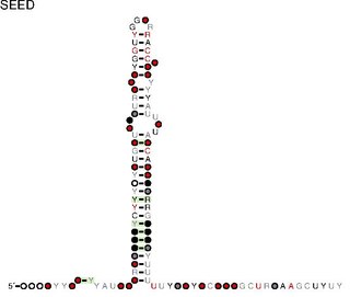 <span class="mw-page-title-main">SAOUHSCs221</span>