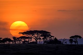 <span class="mw-page-title-main">Serengeti</span> Geographical region in Tanzania