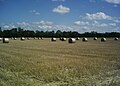 Harvest in Upper Swabia, Illertal, Germany