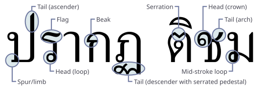 Thai typeface anatomy