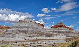 The PEFO Tepees