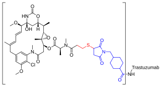 <span class="mw-page-title-main">Trastuzumab emtansine</span> Pharmaceutical drug