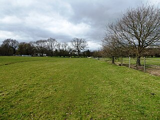 <span class="mw-page-title-main">Trottiscliffe Meadows</span> Nature Conservation Review site in Kent