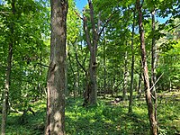 Nest Box at the University of Wisconsin–Madison Arboretum