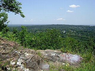 <span class="mw-page-title-main">Wayne, New Jersey</span> Township in Passaic County, New Jersey, US