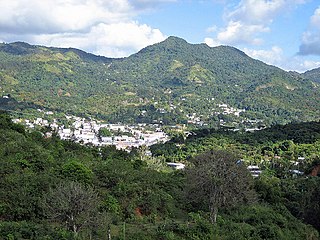 <span class="mw-page-title-main">Adjuntas, Puerto Rico</span> Town and municipality located in Puerto Rico