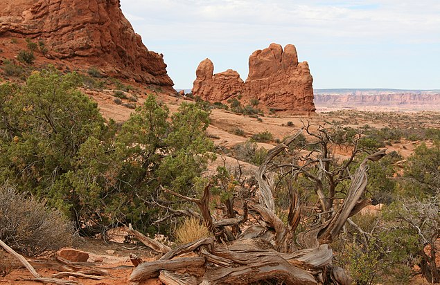 Arches National Park, Utah