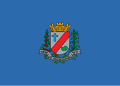 Bandeira de São Joaquim da Barra