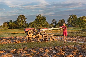 Boy plowing with a tractor at sunset in Don Det, Laos.