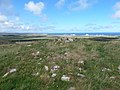 Cnoc Freiceadain Long Cairns