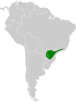 Distribución geográfica del tiluchí colorado.