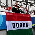 Dorogiak a 2016-os labdarúgó Európa-bajnokságon Marseille-ben