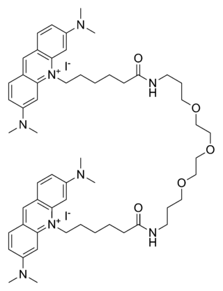 <span class="mw-page-title-main">GelGreen</span> DNA gel stain for molecular genetics