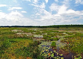 Grandma Lake Wetlands State Natural Area State Natural Area in Wisconsin