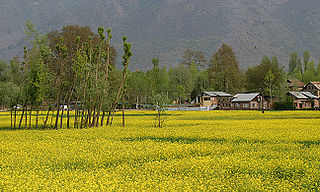 <span class="mw-page-title-main">Tourism in Jammu and Kashmir</span> Tourist places in Jammu and Kashmir